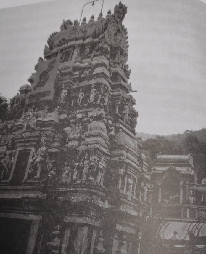 palmaduraichole palmaduraichole