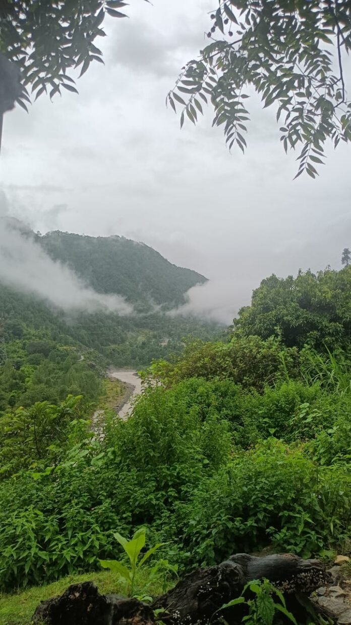 arawali 01