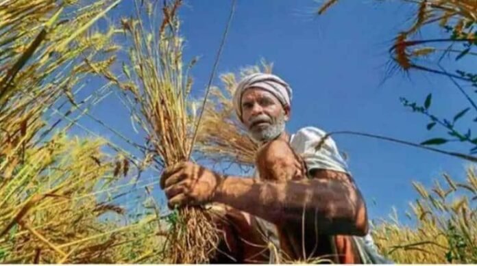 farmer