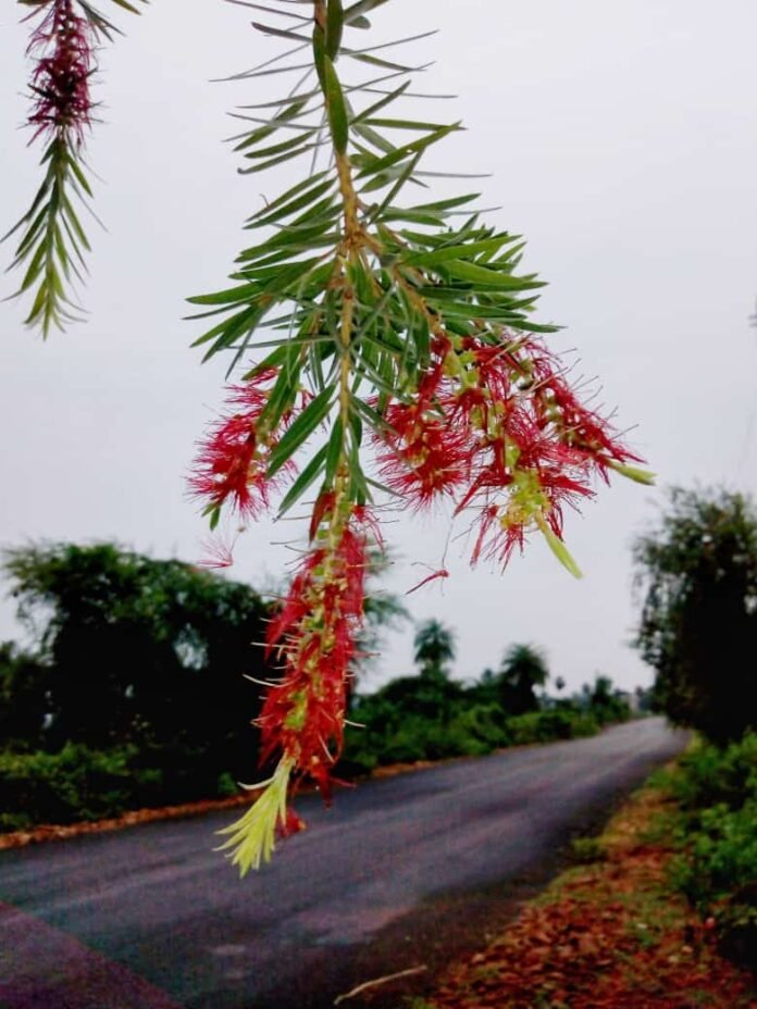 photo akhlesh photo akhlesh