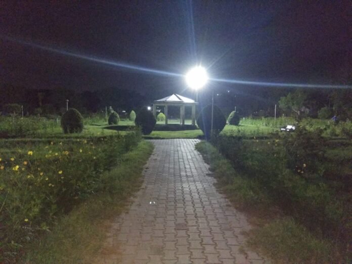 rose garden