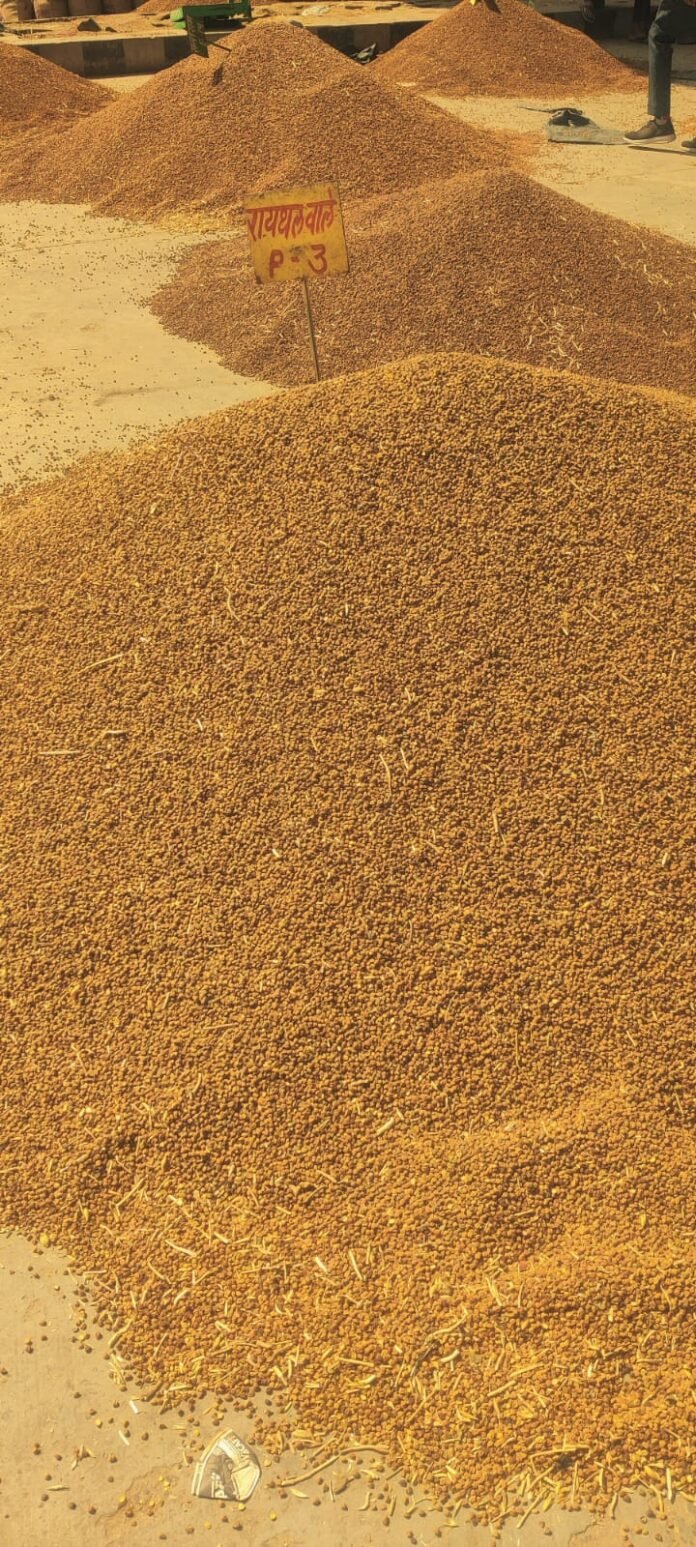 mandi
