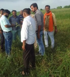 nagar kisan