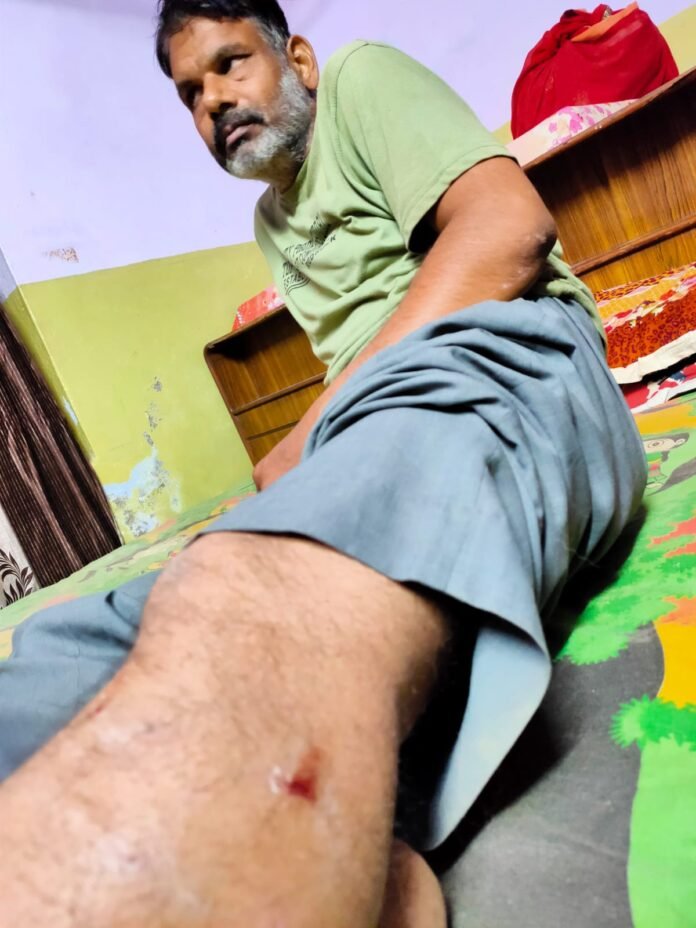 shringi shringi