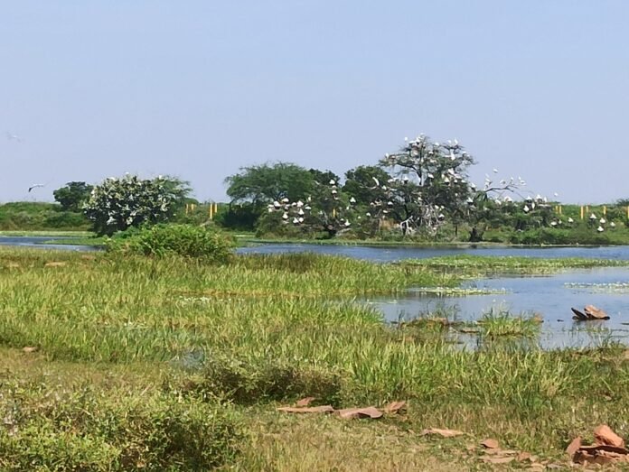 sorasan