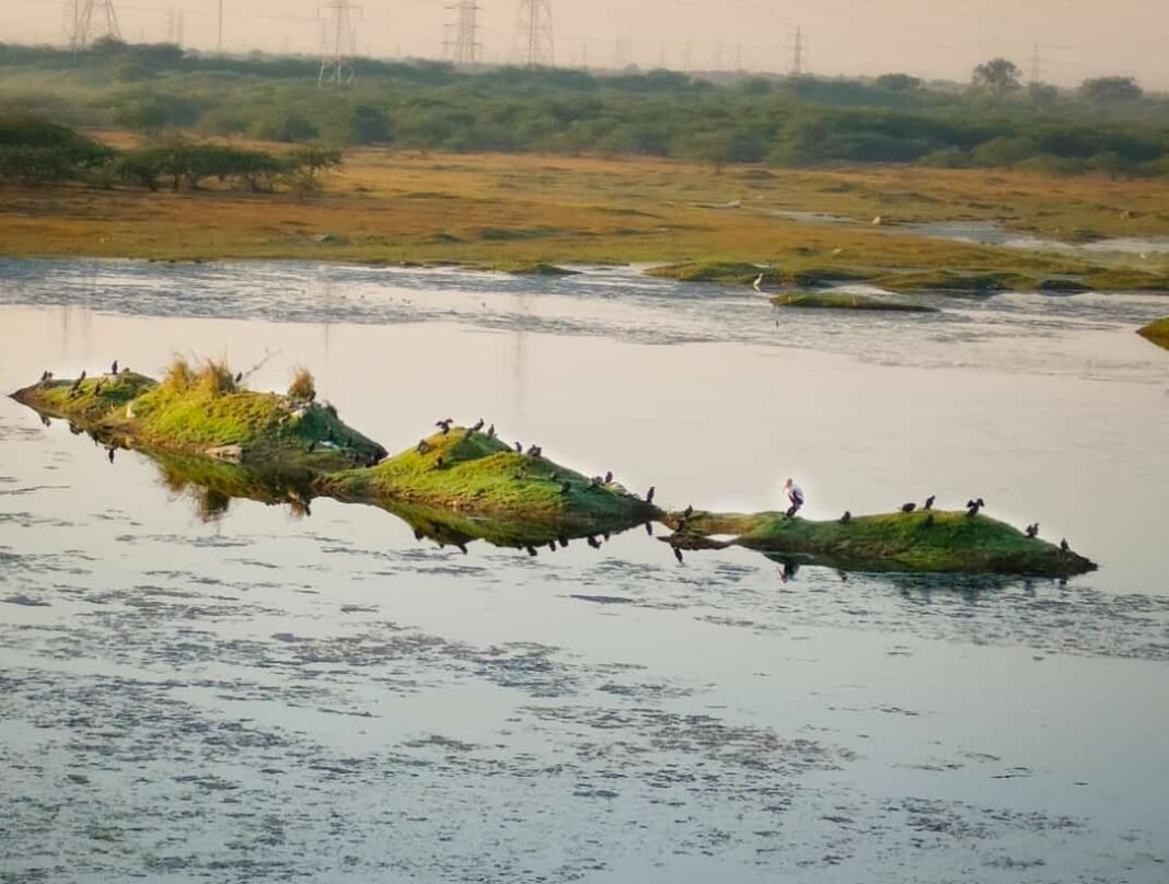 jawahar sagar talab nanta kota jawahar sagar talab nanta kota