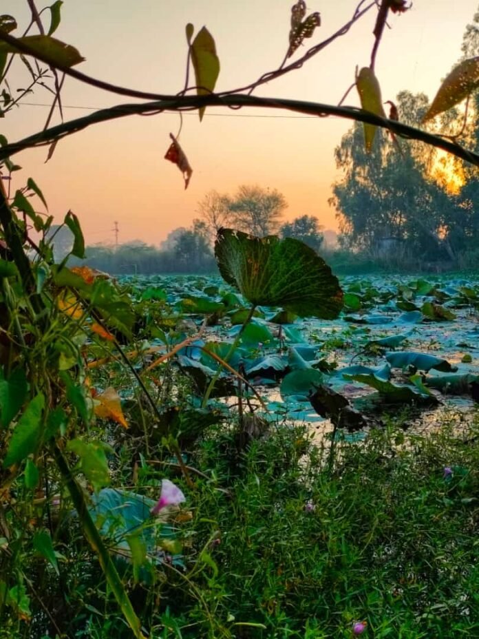 photoakhil