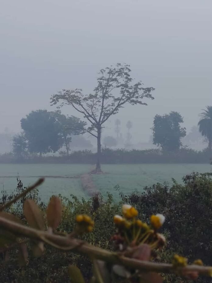 fog 1 fog 1