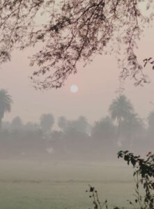 fog 2
