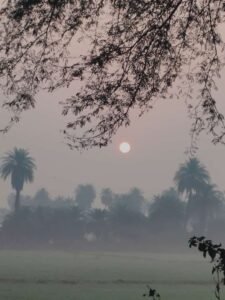 fog 3