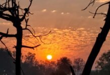 … उसने तो पल भर में गंगा स्नान कर लिया ॥ m sun