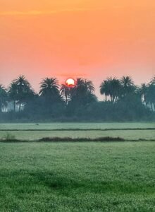 morning sun