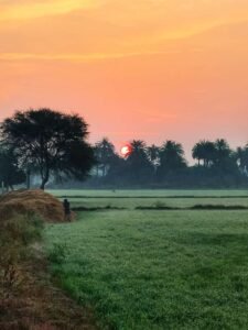 morning sun 3