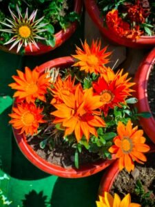 ee