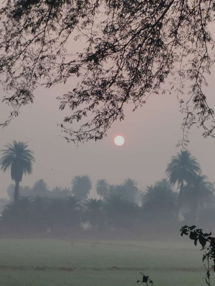 fog 3