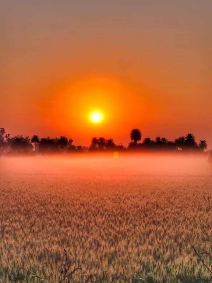akhileshphoto akhileshphoto