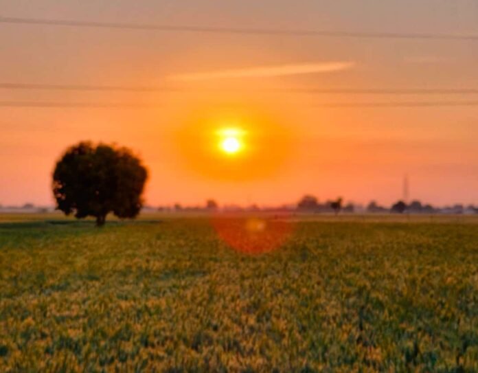 aksun