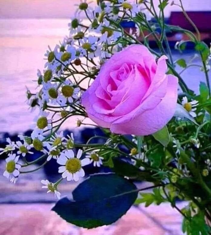 whatsapp image 2023 09 21 at 10.23.40
