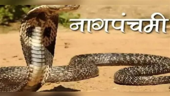 whatsapp image 2024 07 15 at 7.55.09 pm